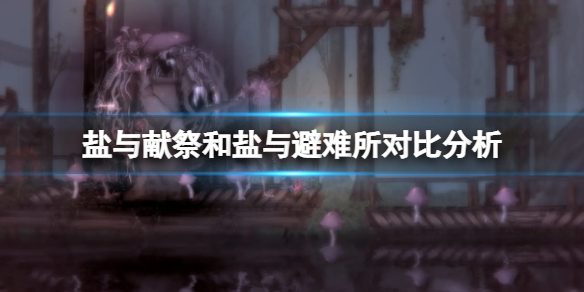 盐与献祭和盐与避难所对比分析 盐和避难所结局解析
