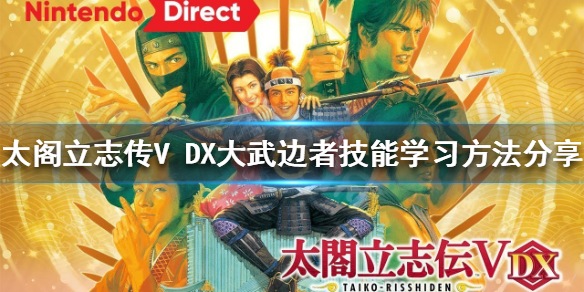 太阁立志传V（太阁立志传v dx破解版）