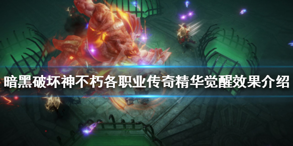 暗黑不朽传奇精华效果是什么（暗黑不朽 萃取）