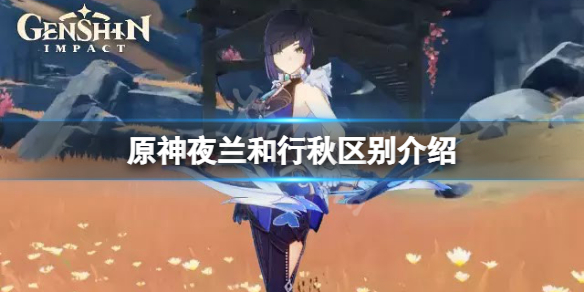 原神夜兰和行秋哪个好 原神行秋和七七哪个好