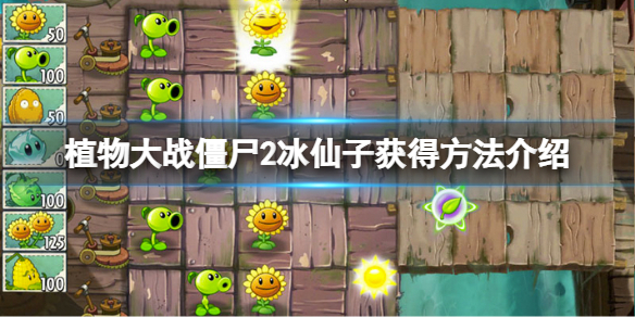 植物大战僵尸2冰仙子怎么获得（植物大战僵尸2槲寄冰仙子图片）